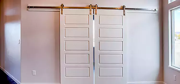 Glass Barn Door with Installation Hardware Kit Orinda